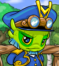 Admiral Gully