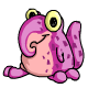 Coris