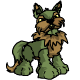 Plains Lupe